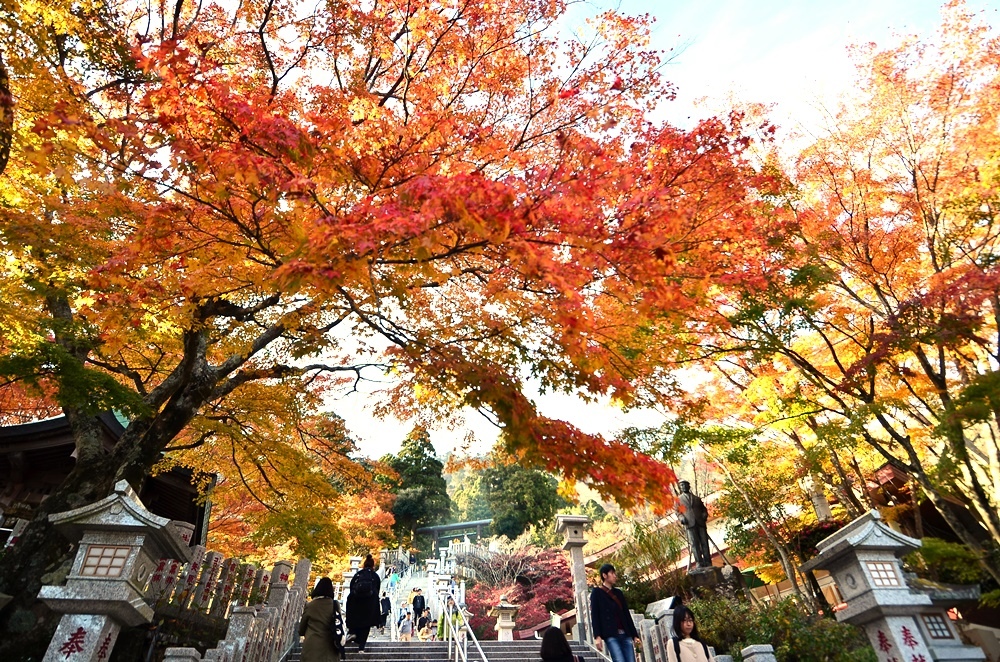 107_11_20-27_秋季東京之旅(伊勢原市 大山寺の紅