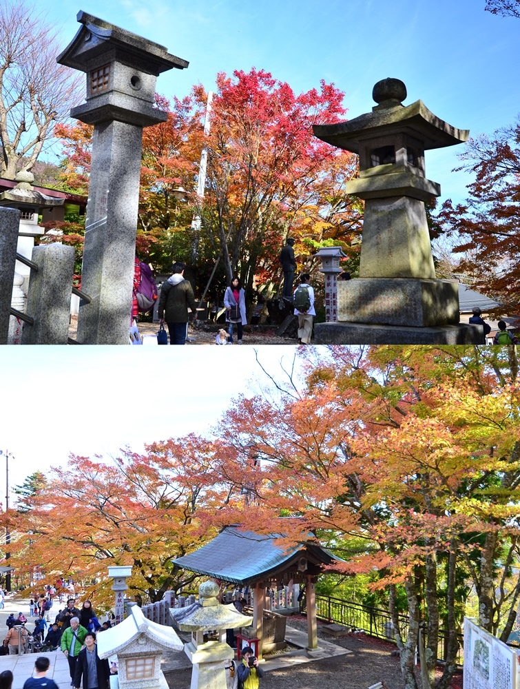 107_11_20-27_秋季東京之旅(伊勢原市 大山寺の紅