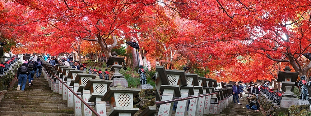 107_11_20-27_秋季東京之旅(伊勢原市 大山寺の紅