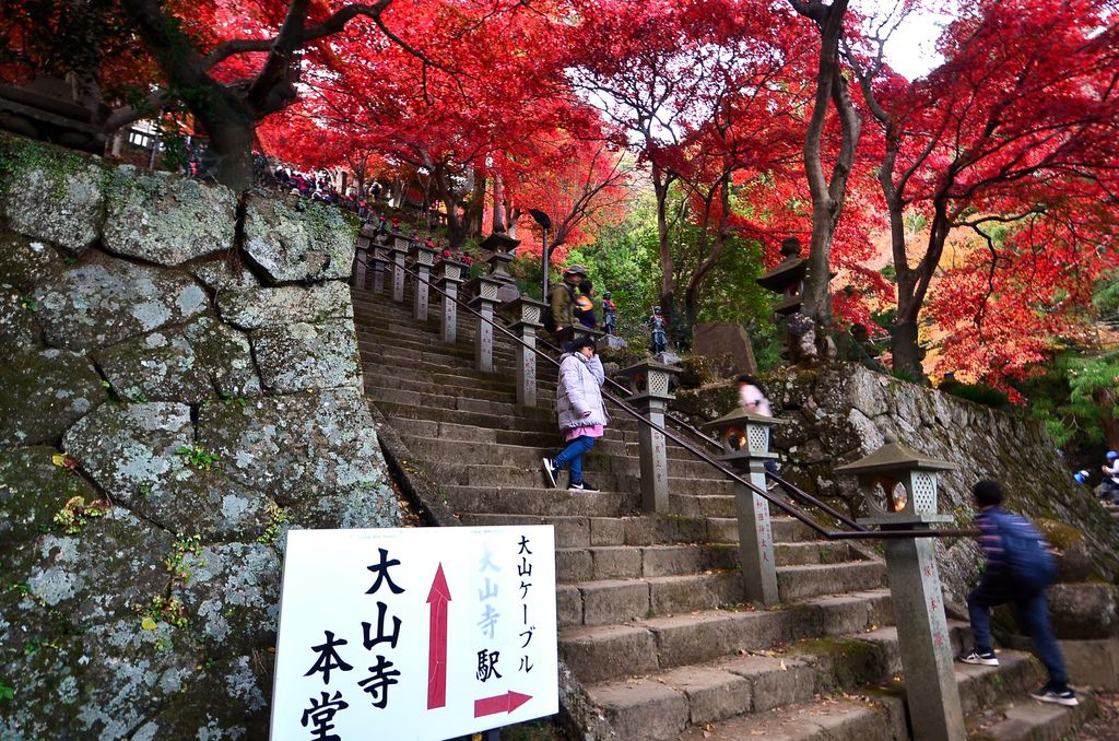 107_11_20-27_秋季東京之旅(伊勢原市 大山寺の紅