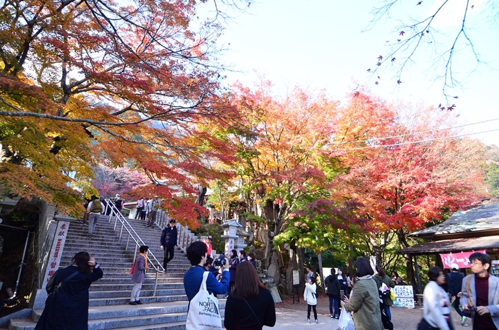 107_11_20-27_秋季東京之旅(伊勢原市 大山寺の紅