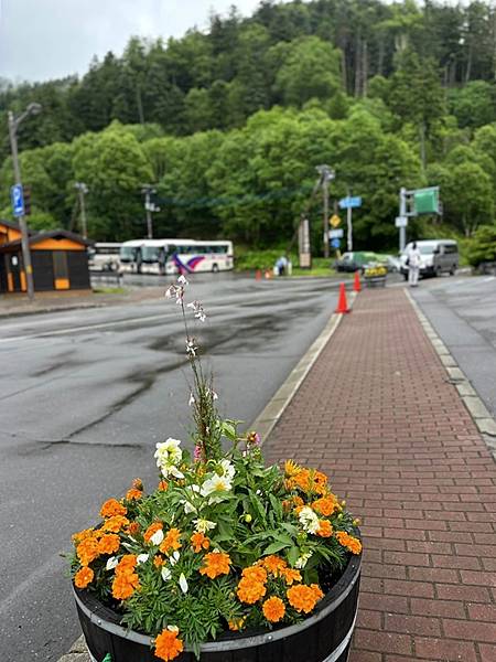 2023_7_6_北海道避暑7日遊_然別湖公園+浪漫湖畔海鮮