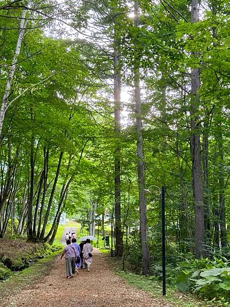 2023_7_7_北海道避暑7日遊_北海道富良野「森林精靈露