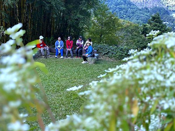 2023_11_24_桃李河畔，台中老字號景觀餐廳，隱身山區