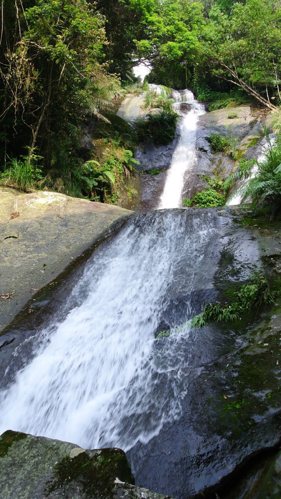 山野假期