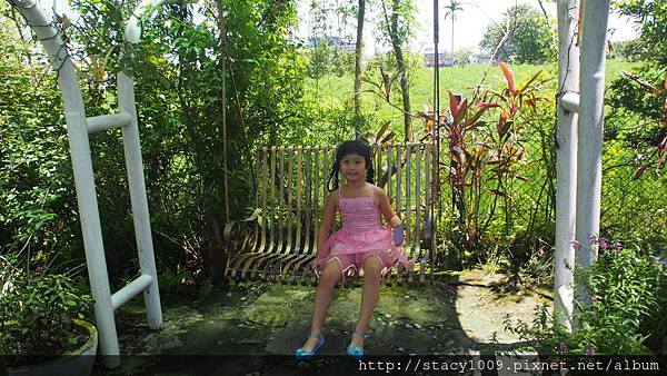 P9020376 P9020376