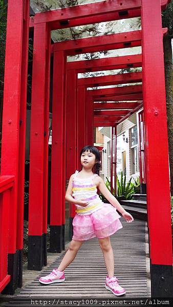 P9180983 P9180983