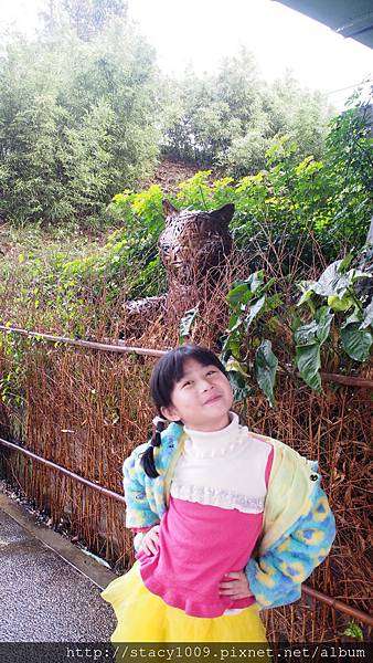 P1290137 P1290137