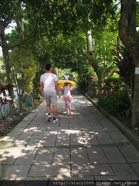 PA300291.JPG PA300291.JPG