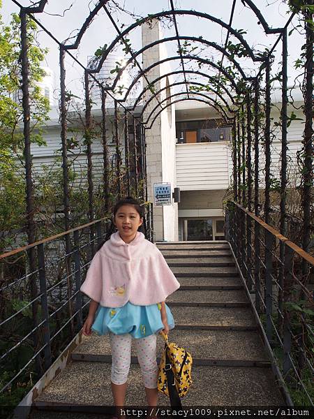 PA310836.JPG PA310836.JPG
