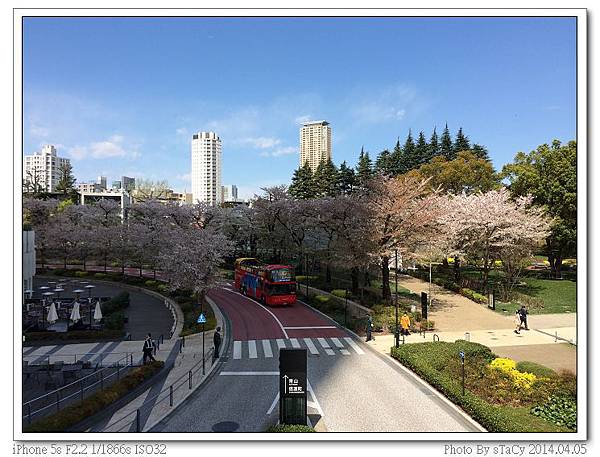 IMG_0255_nEO_IMG IMG_0255_nEO_IMG