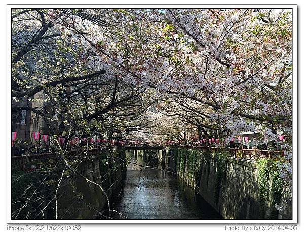 IMG_0375_nEO_IMG IMG_0375_nEO_IMG