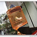IMG_7863_nEO_IMG_nEO_IMG.jpg