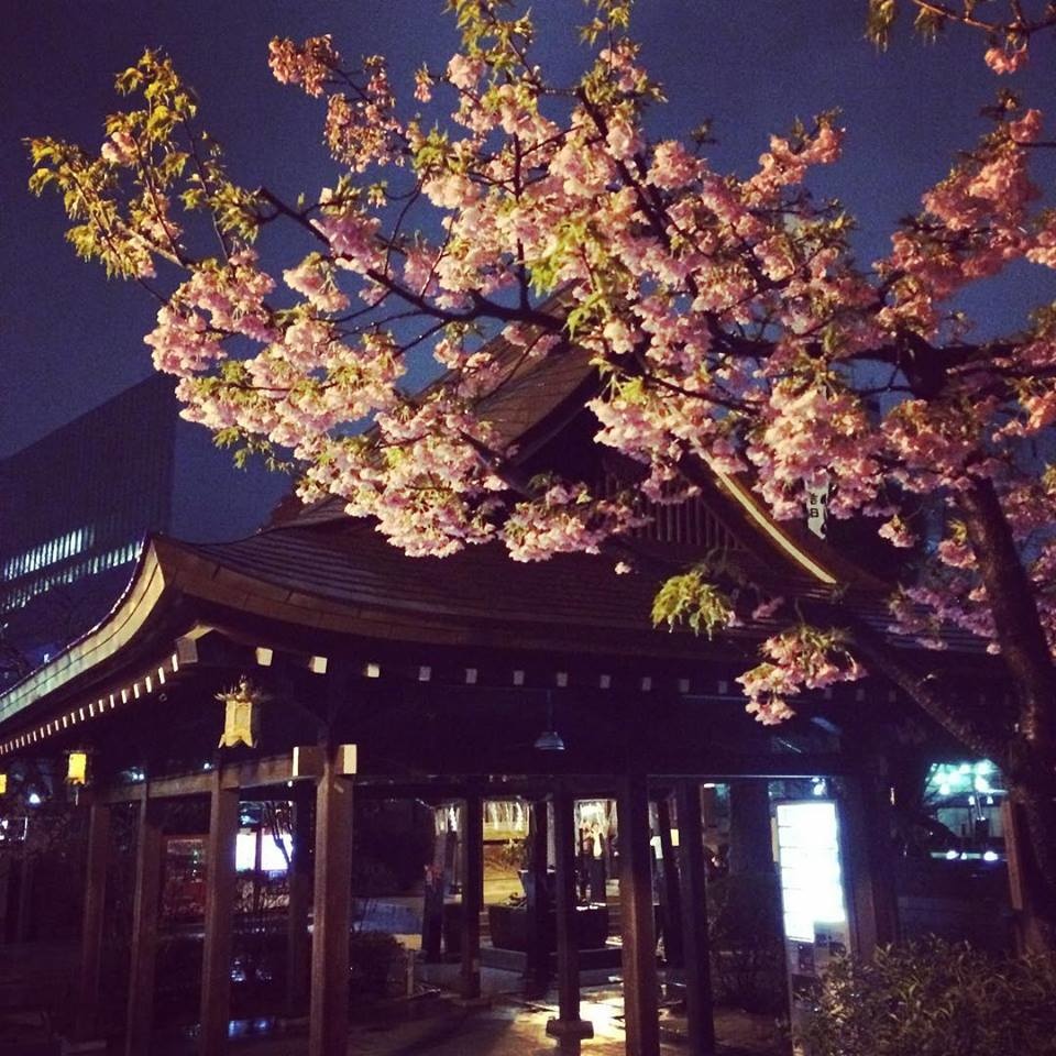 28795737_10156379919002189_3174492759604942149_n.jpg 28795737_10156379919002189_3174492759604942149_n.jpg