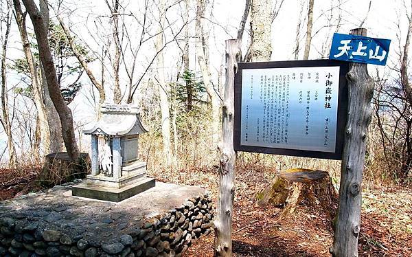 2017.04 東京河口湖兩天一夜、賞櫻賞湖賞富士