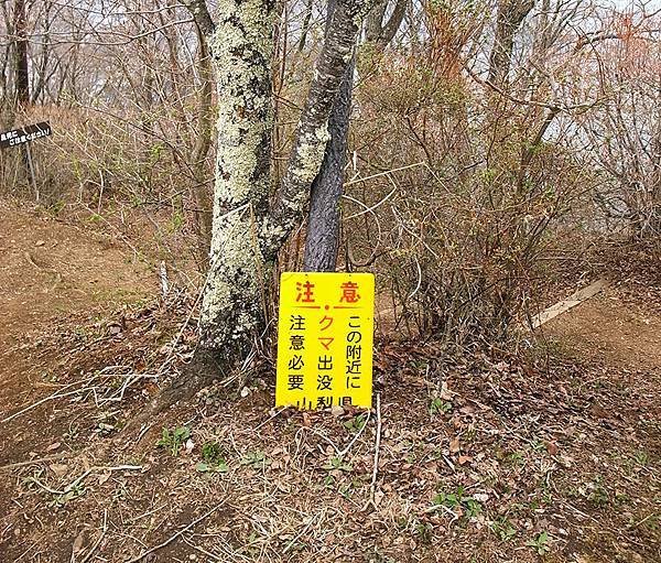 2017.04 東京河口湖兩天一夜、賞櫻賞湖賞富士