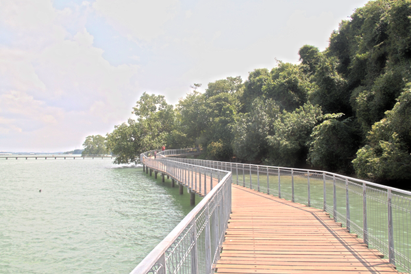 pulau ubin06.png