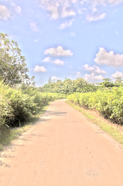 pulau ubin03.png