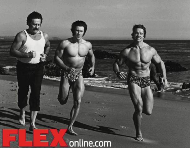 Arnold cardio