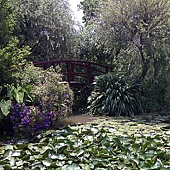 045.jpg 045.jpg