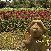 046.jpg 046.jpg