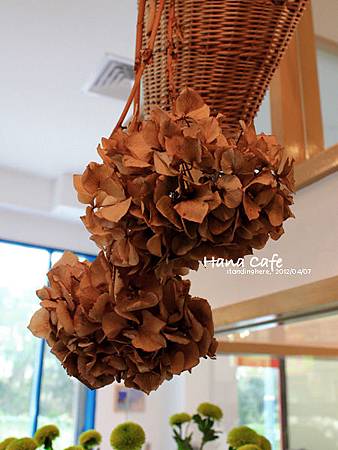 Hana Café 10