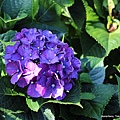 019