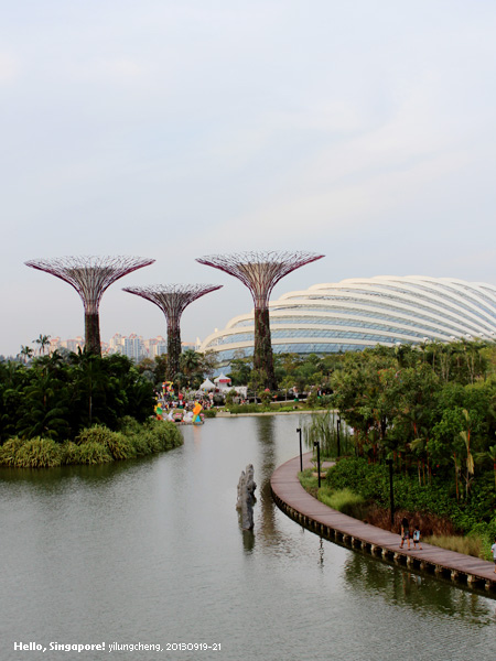 singapore_386.jpg