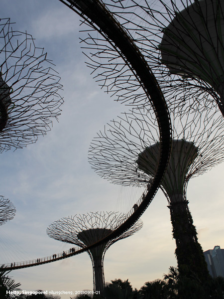 singapore_393.jpg