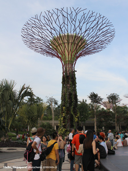 singapore_394.jpg