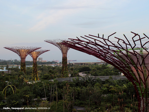 singapore_400.jpg