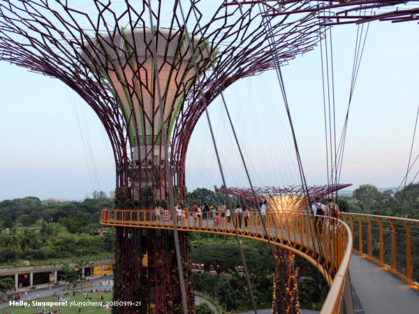 singapore_405.jpg