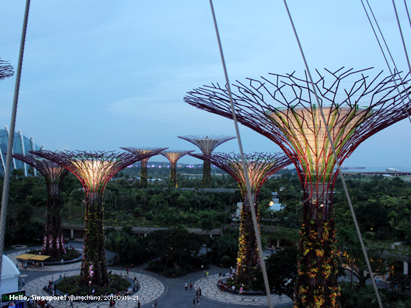 singapore_406.jpg