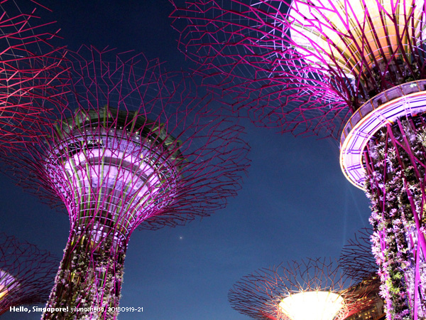 singapore_409.jpg