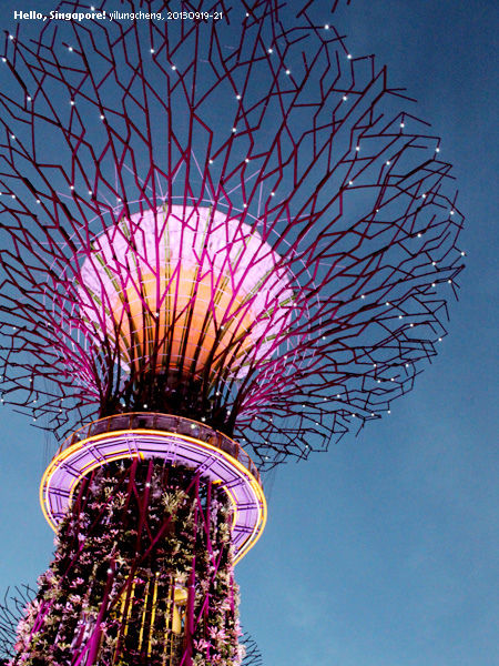 singapore_411.jpg