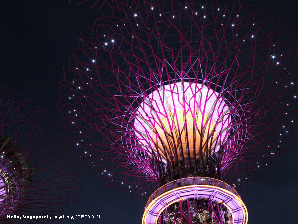 singapore_413.jpg