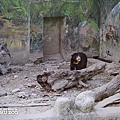 新竹動物園36