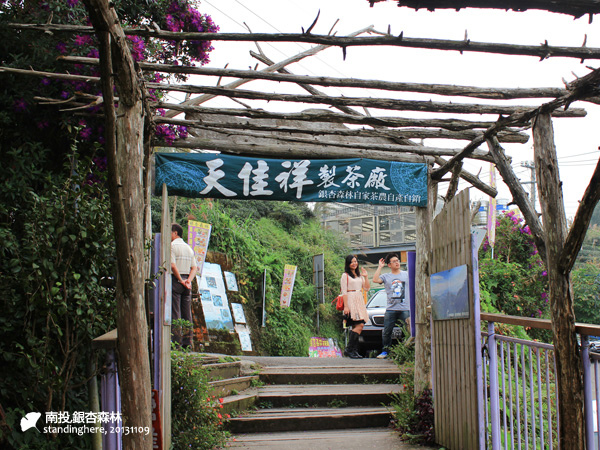 大崙山_銀杏森林_21.jpg