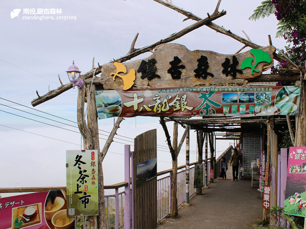 大崙山_銀杏森林_22.jpg