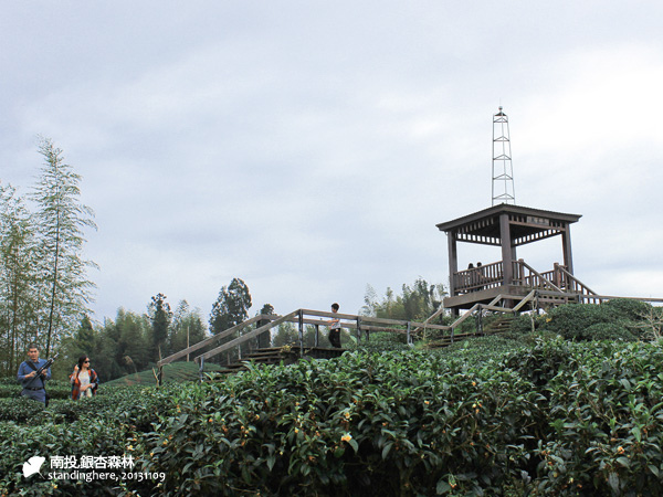 大崙山_銀杏森林_39.jpg