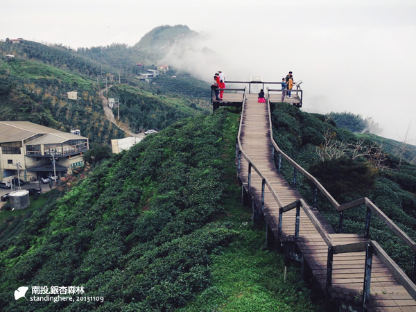 大崙山_銀杏森林_40.jpg