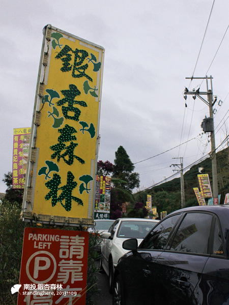 大崙山_銀杏森林_57.jpg