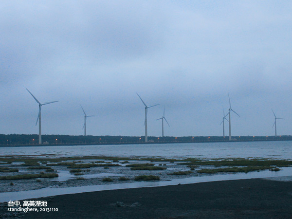 高美溼地09.jpg