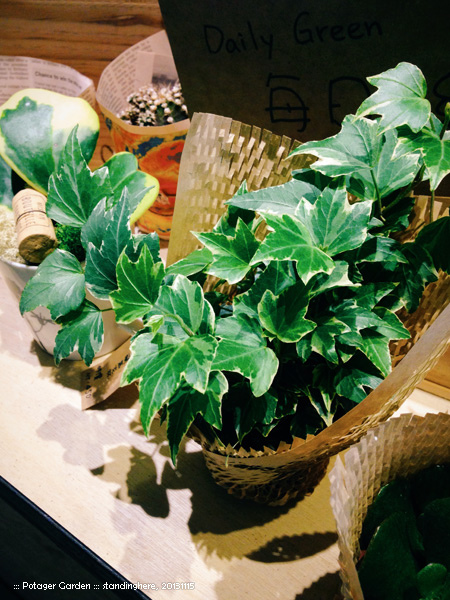 菠啾花園_30.jpg