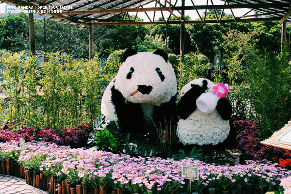 1600熊貓_54.jpg