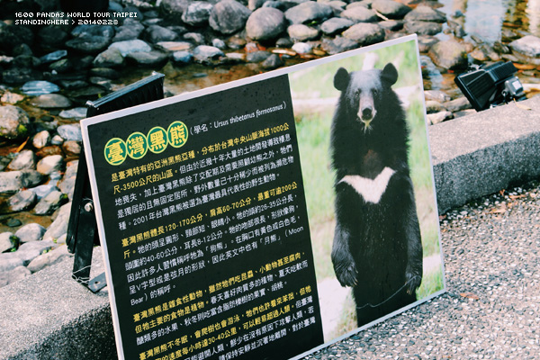 1600熊貓_60.jpg