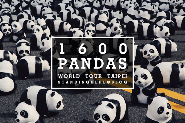 1600熊貓_1600 panda