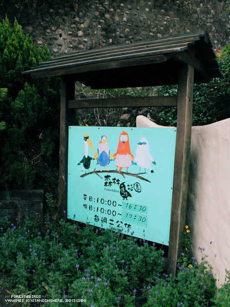 森林鳥花園04.jpg