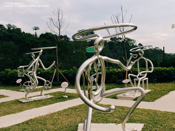 森林鳥花園10.jpg