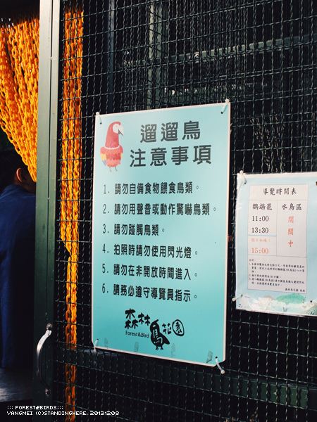 森林鳥花園38.jpg